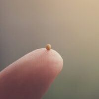 Mustard seed and fingertips. A single mustard seed resting on the tip of a finger.
